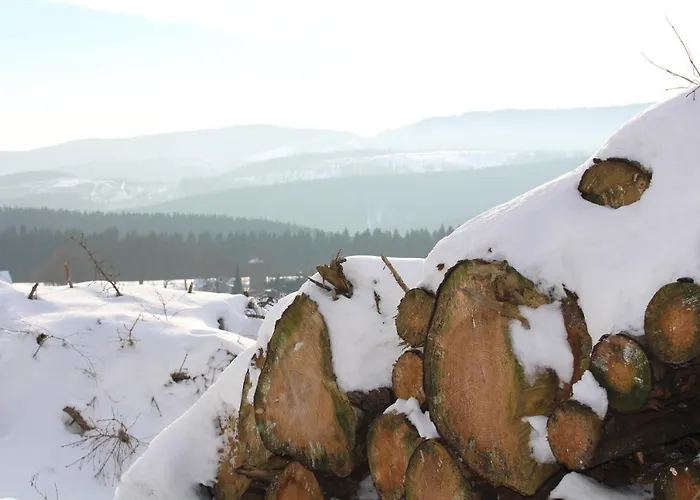 Am Ruhberg * Winterberg