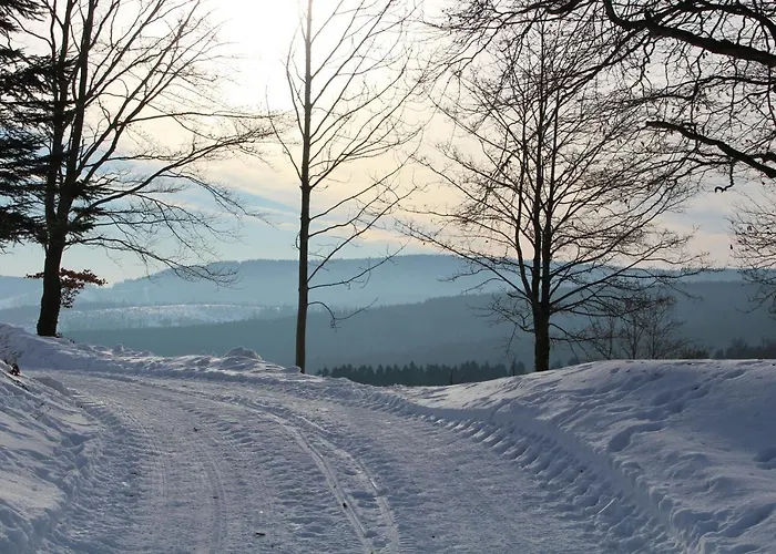 Am Ruhberg Tatil Evi Winterberg